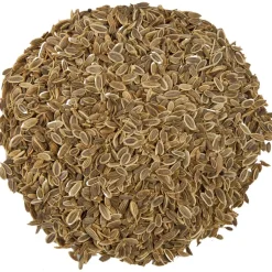 Pit&Pit Ajowan Cheap