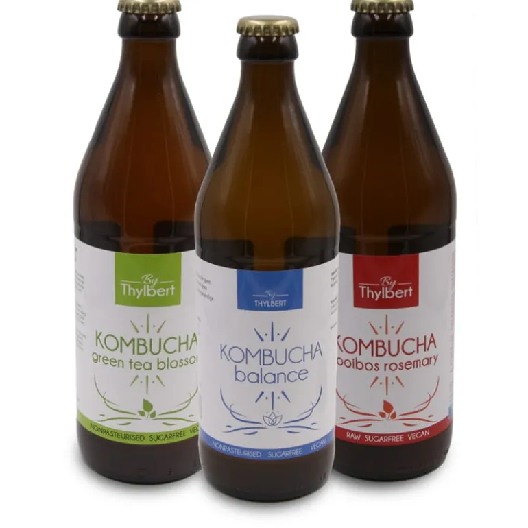 Pit&Pit Artisanale Special Kombucha 'Balance' bio Online