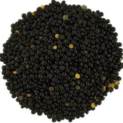 Pit&Pit Beluga linzen bio Online