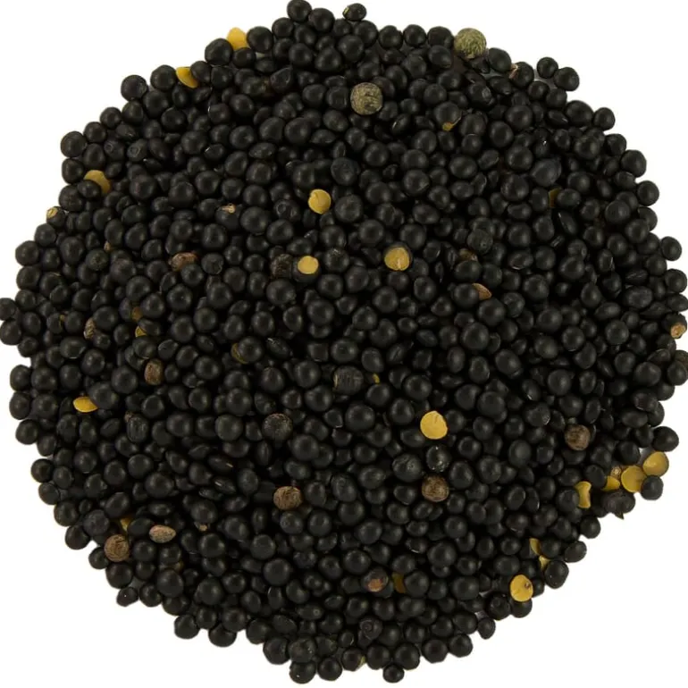 Pit&Pit Beluga linzen bio Online