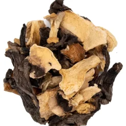 Pit&Pit Bos en weide paddenstoelenmix Clearance