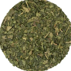 Pit&Pit Cold brew matcha thee bio Shop