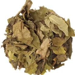 Pit&Pit Curryblad Clearance