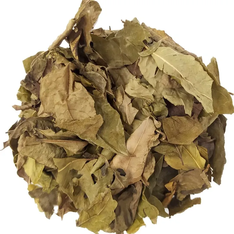 Pit&Pit Curryblad Clearance