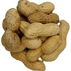 Pit&Pit Doppinda’s Discount