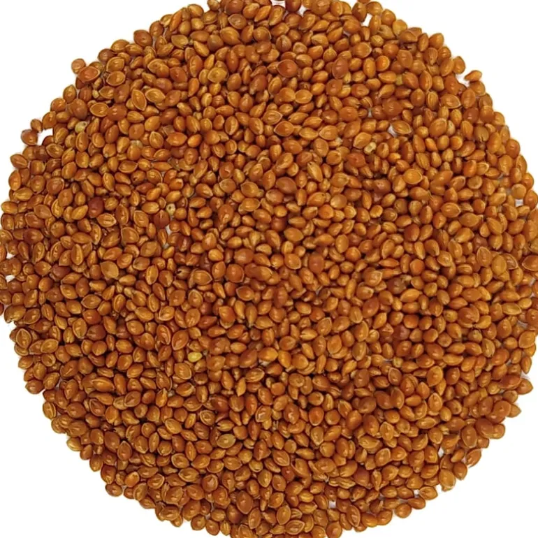 Pit&Pit Gekiemde gierst bio Flash Sale