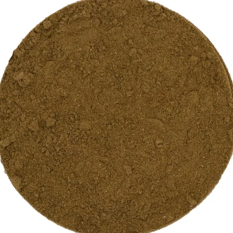 Pit&Pit Ginkgo biloba gemalen Outlet