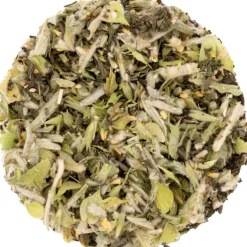 Pit&Pit Griekse bergthee met munt Hot