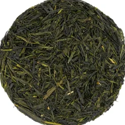 Pit&Pit Groene thee Japan Gyokuro Kyoto bio Outlet