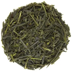 Pit&Pit Groene thee Japan Sencha Yamato Online