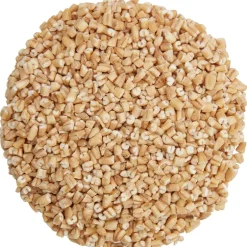 Pit&Pit Havergrutten bio Cheap