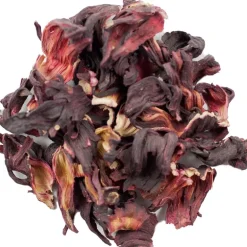 Pit&Pit Hibiscus Store