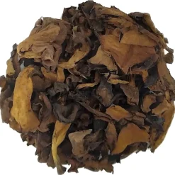 Pit&Pit Hoorn des Overvloeds bio Best Sale