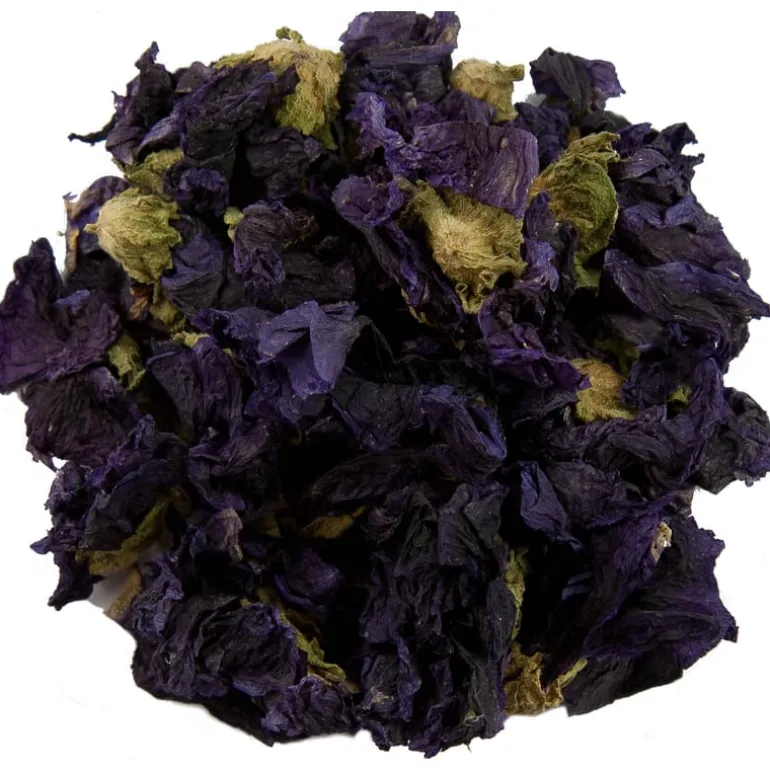 Pit&Pit Kaasjeskruid bloem Outlet