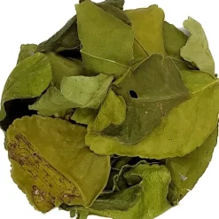 Pit&Pit Kaffir limoen blaadjes Flash Sale