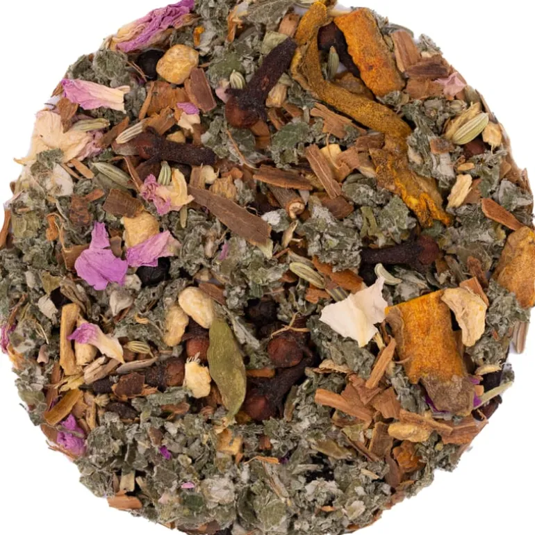 Pit&Pit Lady's thee 7 chakra's bio New