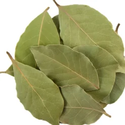 Pit&Pit Laurier Sale