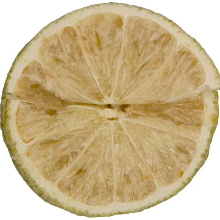 Pit&Pit Limoen schijfjes gevriesdroogd Best Sale