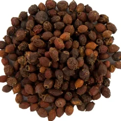 Pit&Pit Meidoornbessen Discount