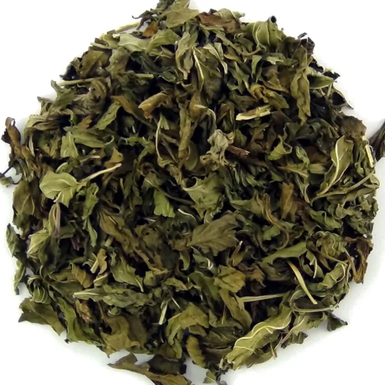 Pit&Pit Pepermunt Cheap