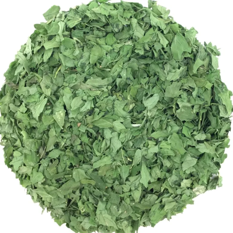 Pit&Pit Platte peterselie bio Fashion