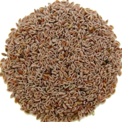 Pit&Pit Psylliumzaad Outlet