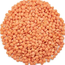 Pit&Pit Rode linzen bio Cheap