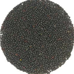 Pit&Pit Rucola kiemzaden bio Shop