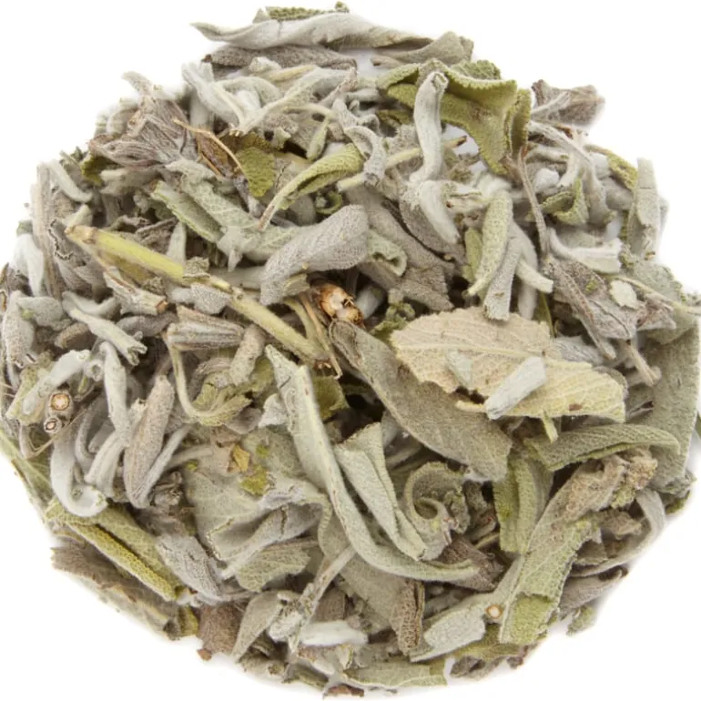 Pit&Pit Salie hele blaadjes Online