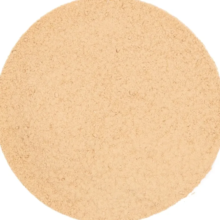 Pit&Pit Shiitake poeder bio Cheap