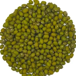 Pit&Pit Taugé kiemzaden bio Store