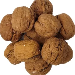 Pit&Pit Walnoten in de dop Fashion