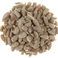 Pit&Pit Zonnebloempitten New