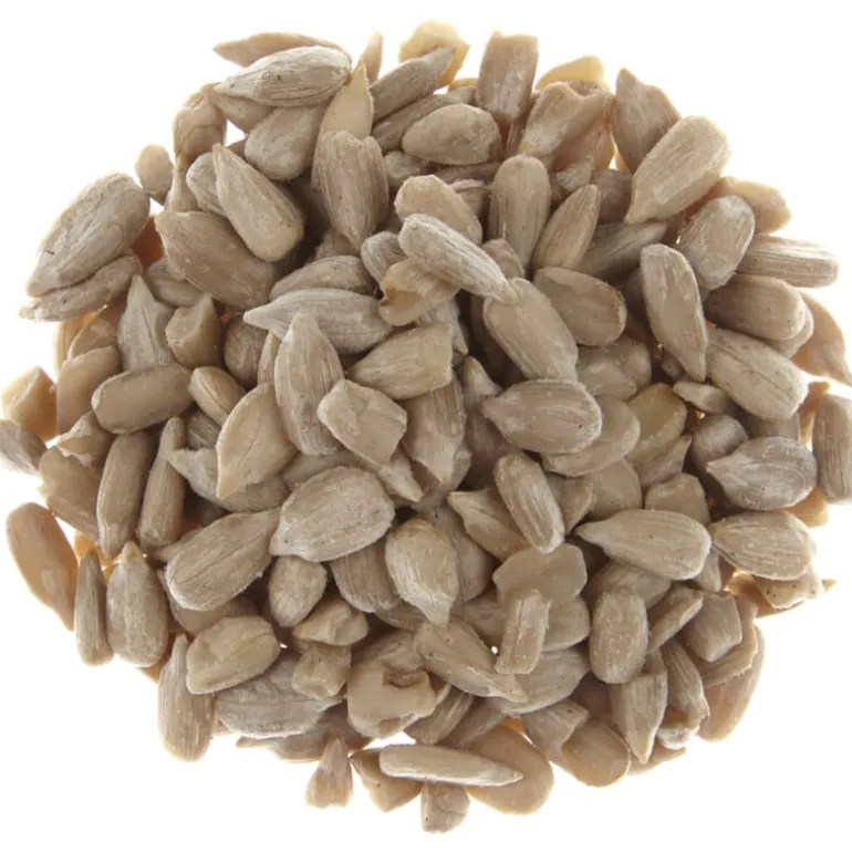 Pit&Pit Zonnebloempitten New