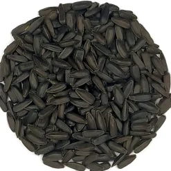 Pit&Pit Zonnebloempitten kiemzaden Flash Sale