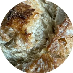 Pit&Pit Zuurdesembrood Campagne Fashion