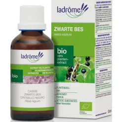 Pit&Pit Zwarte bes tinctuur bio New